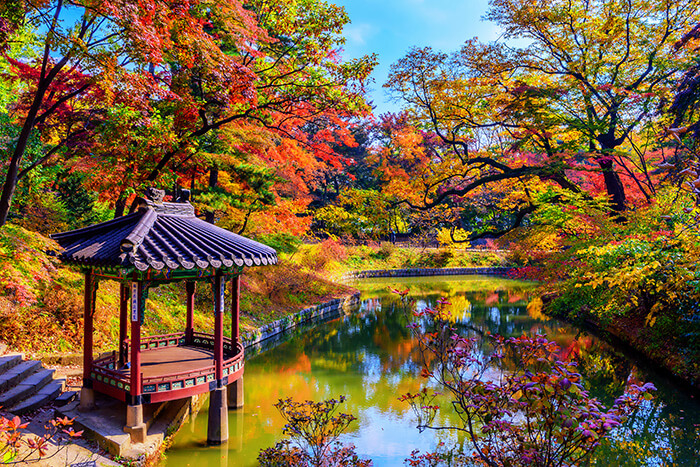 Changdeokgung palace