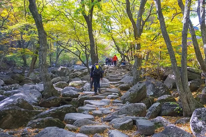 Geumjeongsan mountain in busan