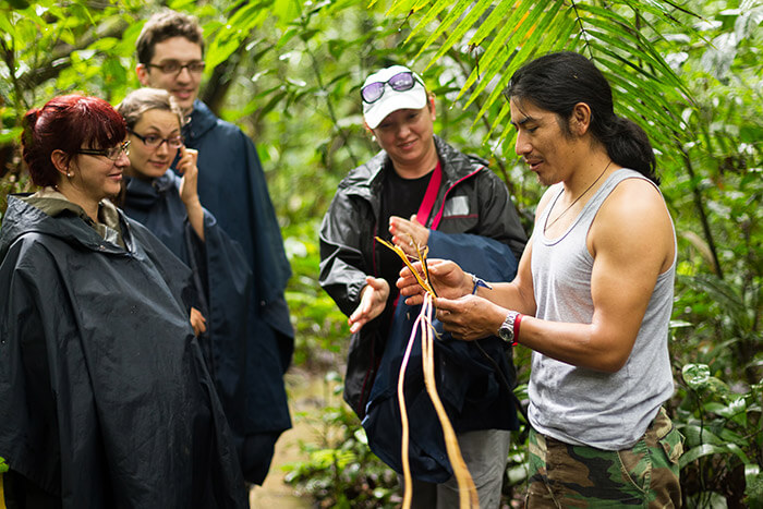 Group Of Tourist