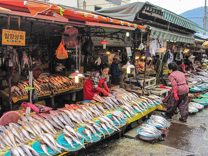 Jagalchi Fish Market