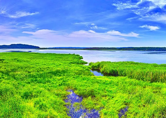 Kushiro wetlands