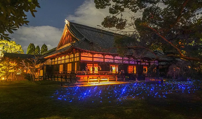 Light up view of Shoren-in Temple