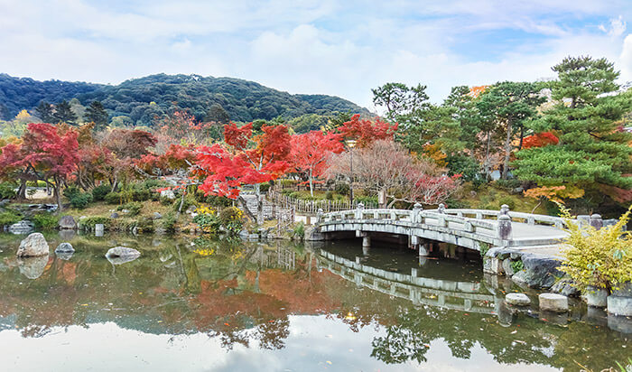 Maruyama Park in Kyoto