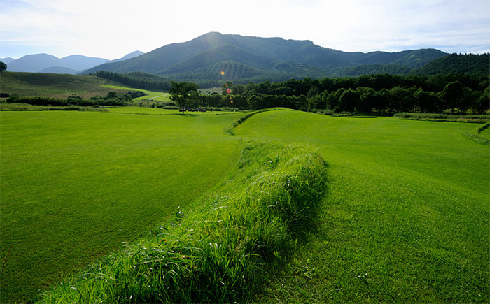 Tokachi Millennium Forest