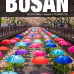 best things to do in Busan