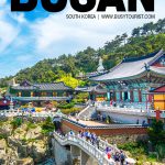 fun things to do in Busan