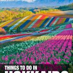 fun things to do in Hokkaido