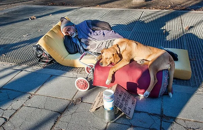 homeless man with dog