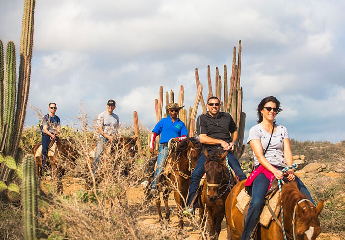 Aruba Horseback Riding