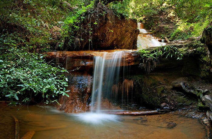 Big Basin Redwoods State Park