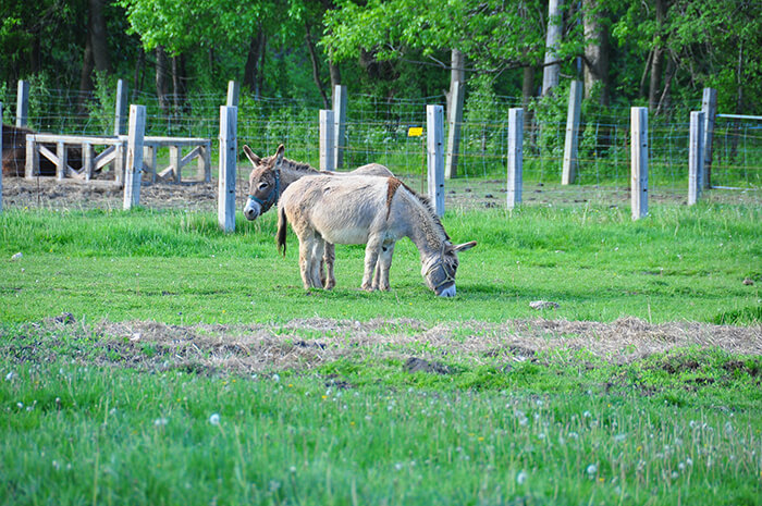 Cap-Saint-Jacques Nature Park