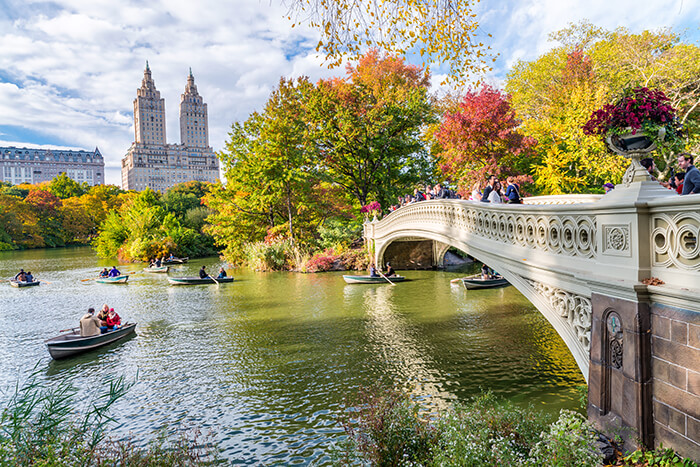 Central Park in New York City