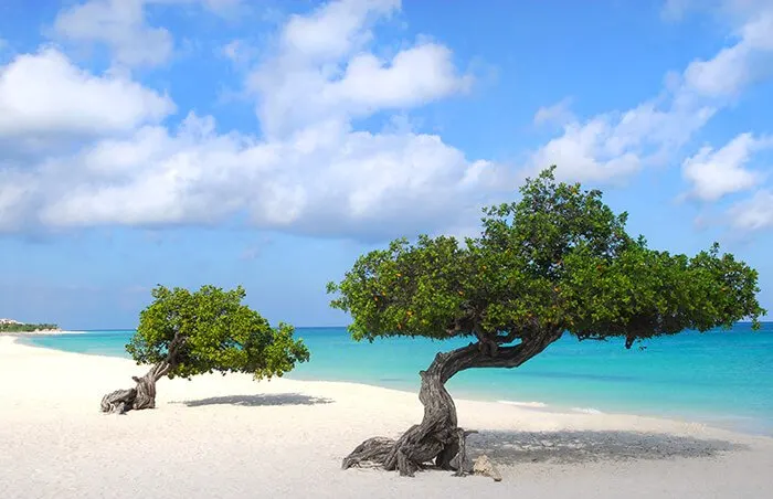 Eagle Beach in Aruba