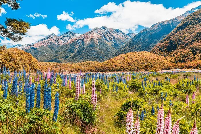 Fiordland National Park, New Zealand