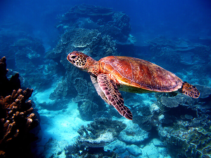 best place to visit great barrier reef