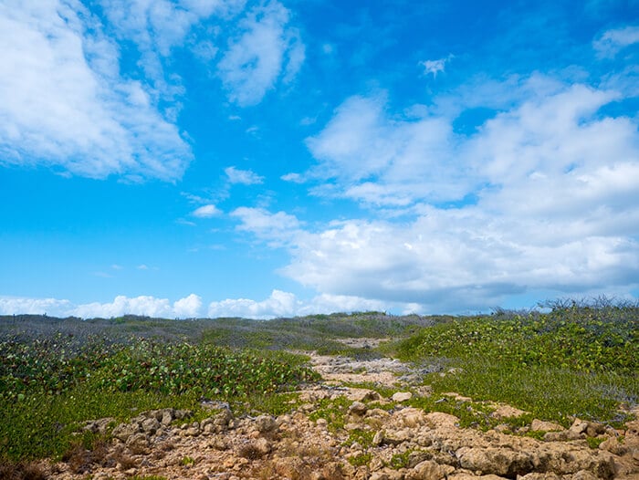 Guanica Reserve in Puerto Rico