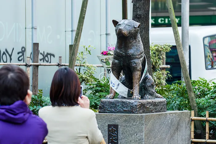 Hachiko Memorial Statue