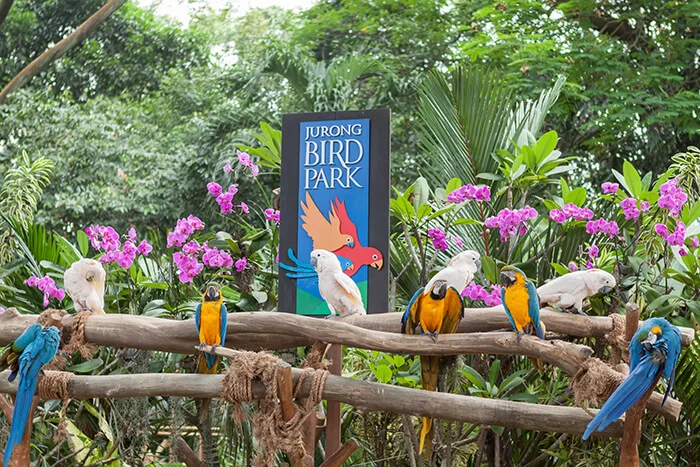 Jurong Bird Park, Singapore