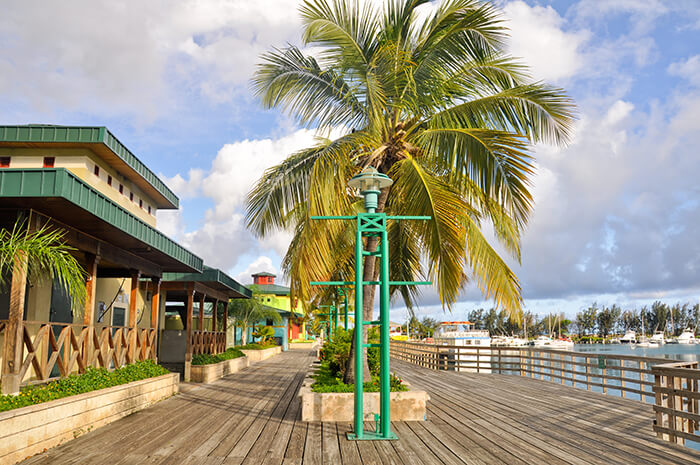 La Guancha Boardwalk