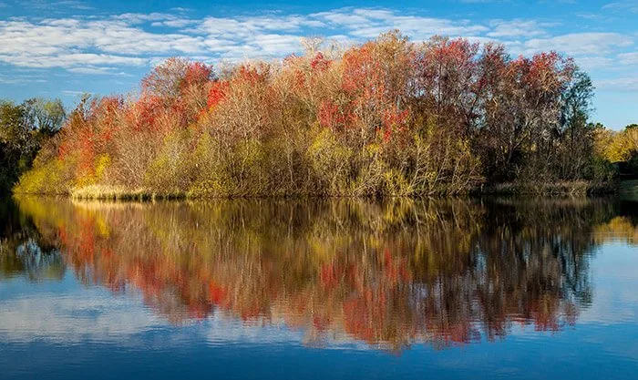 Lake Alice in Gainesville Florida