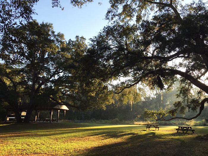 Lake Jackson Mounds Archaeological State Park