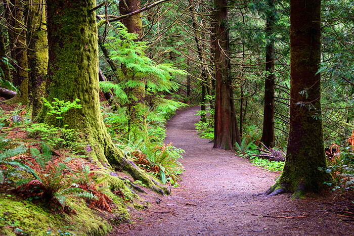 Lewis and Clark Trail