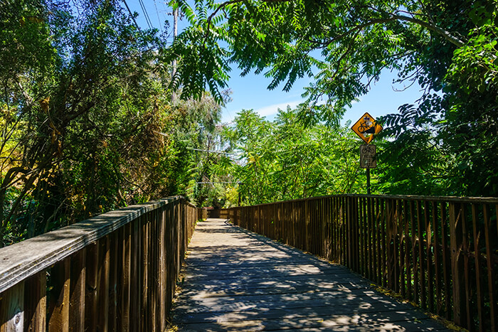 Los Gatos Creek Trail