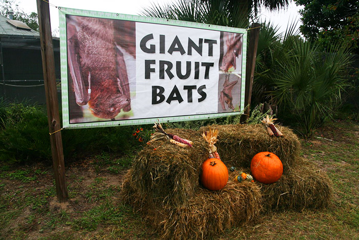 Lubee Bat Conservancy