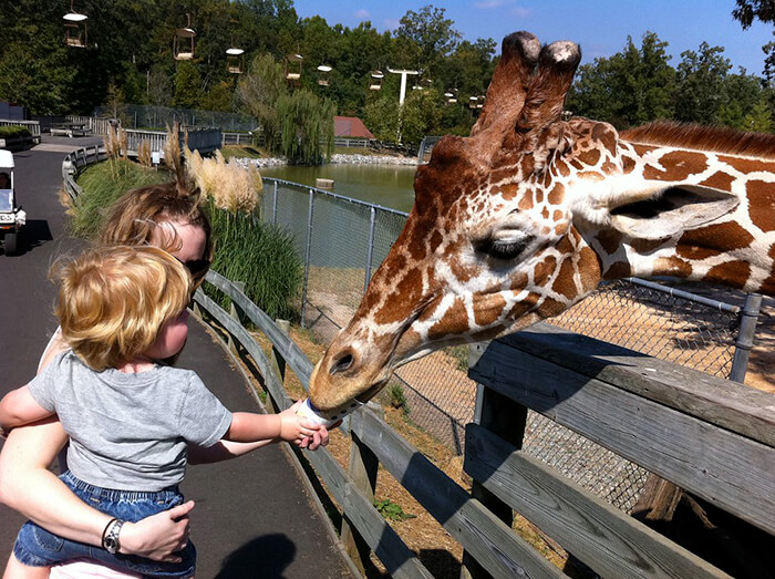 Metro Richmond Zoo