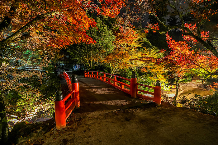 Momijidani park