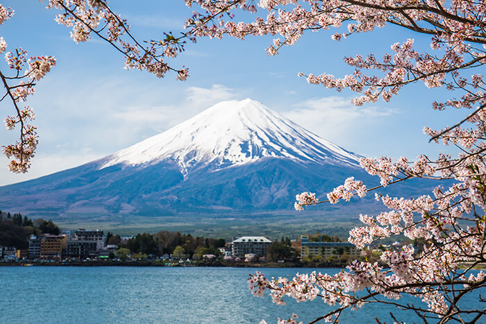 Mount Fuji with cherry blossom