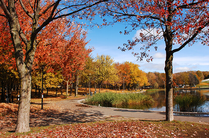 Mount Royal Park In Montreal