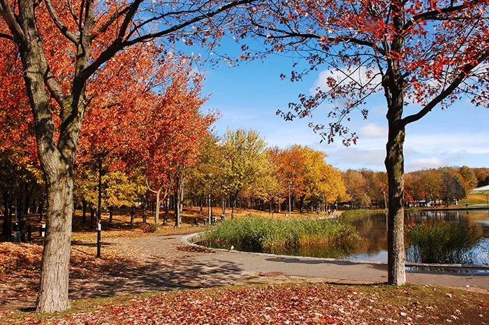 Mount Royal Park In Montreal