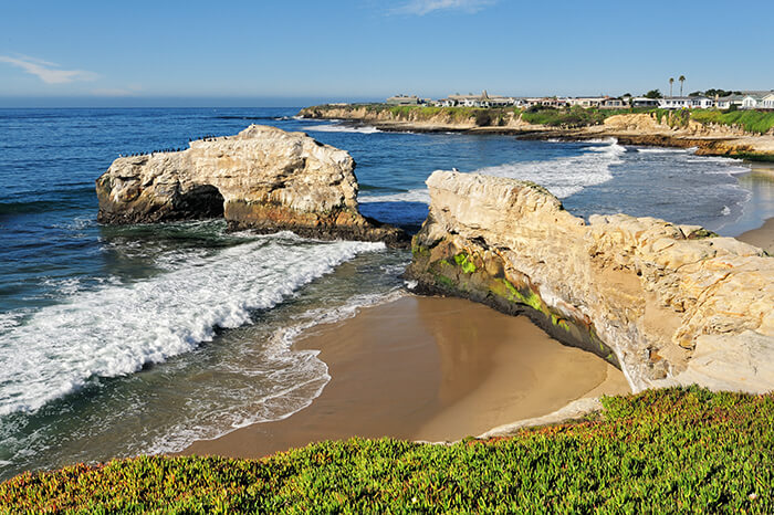 Natural Bridges State Beach in Santa Cruz