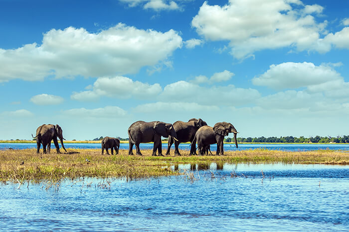 Okavango Delta, Botswana