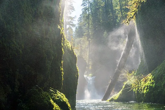 Oneonta Gorge, Oregon