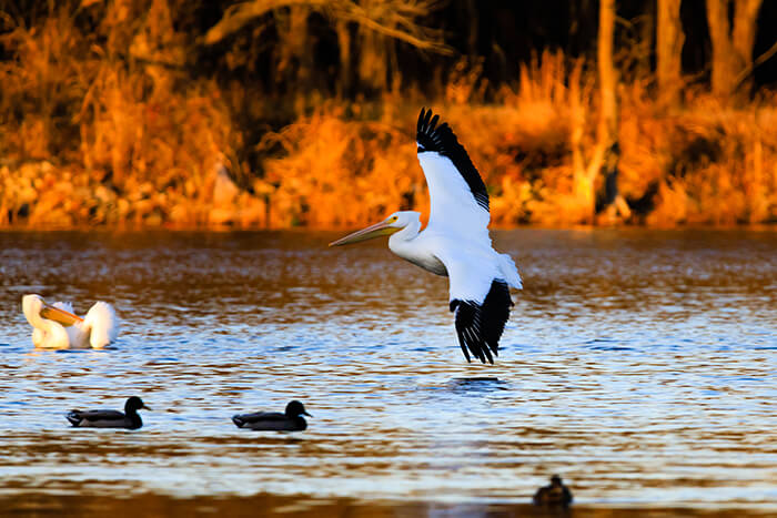 Oxley Nature Center in Tulsa