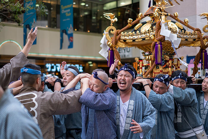 Sanja Matsuri Festival