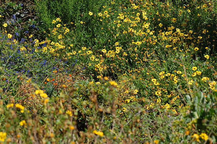 Shipley Nature Center