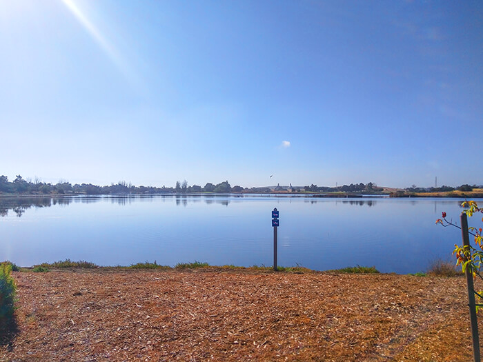 Shoreline Lake Park