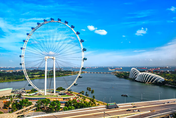 The Singapore Flyer