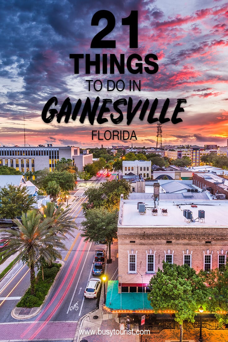best dating site in gainesville florida