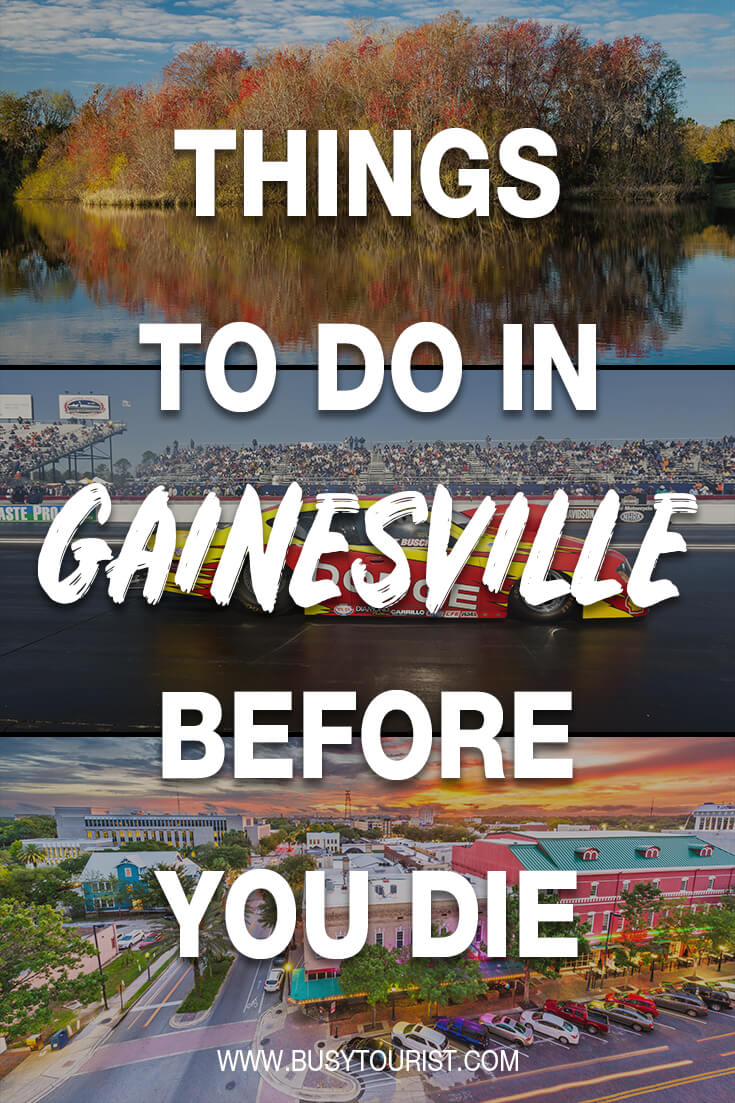 best dating site in gainesville florida