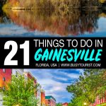 Things To Do In Gainesville
