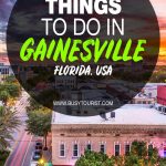 21 Fun Things To Do In Gainesville, Florida | Busy Tourist