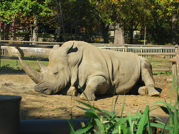 Tulsa Zoo