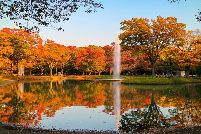 Yoyogi Park