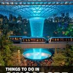 best things to do in Singapore