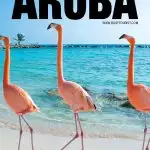 fun things to do in Aruba