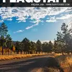 fun things to do in Flagstaff